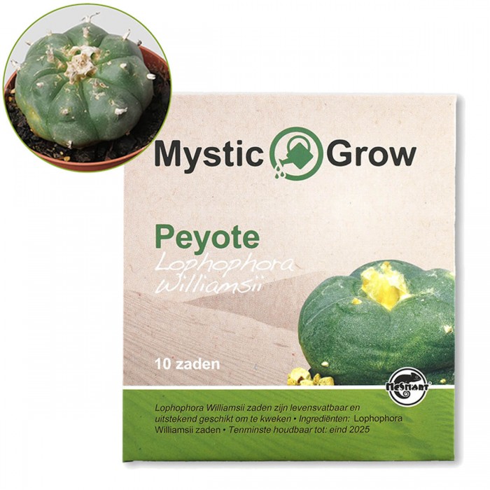 Semillas de Peyote, 10 unidades.