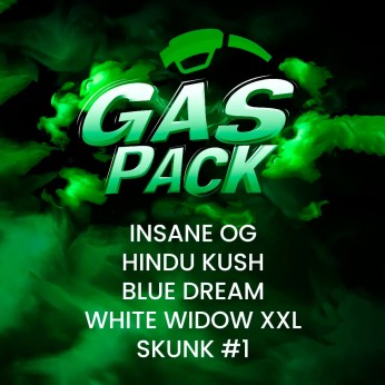 Paquete de 5 y 10 semillas Gas Pack de Barney's Farm Seeds, listado.