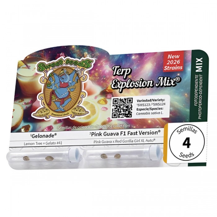 Pack de semillas de marihuana feminizadas Terp Explosion Mix de Seet Seeds, blister.