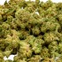 Flores CBD Small Buds Cali Indoor de 15g Lila, cogollos resinosos.
