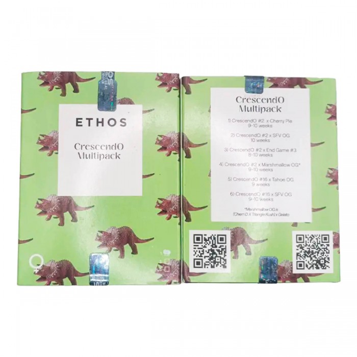 Pack de semillas de marihuana feminizadas Crescendo Multi-Pack de Ethos Genetics, blister.