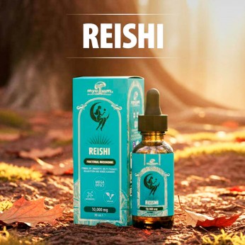 Extracto de hongo Reishi 30ml de Plant of Life.