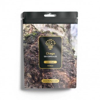 Cápsulas de hongo Chaga 120 unidades, sobre.
