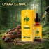 Extracto de hongo Chaga 30ml de Plant of Life.