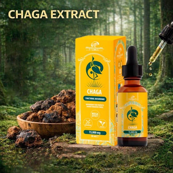 Extracto de hongo Chaga 30ml de Plant of Life.