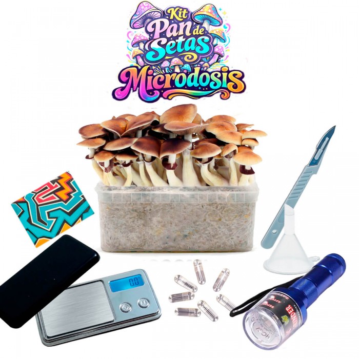 Kit Microdosis para Psilocibina con Pan de setas