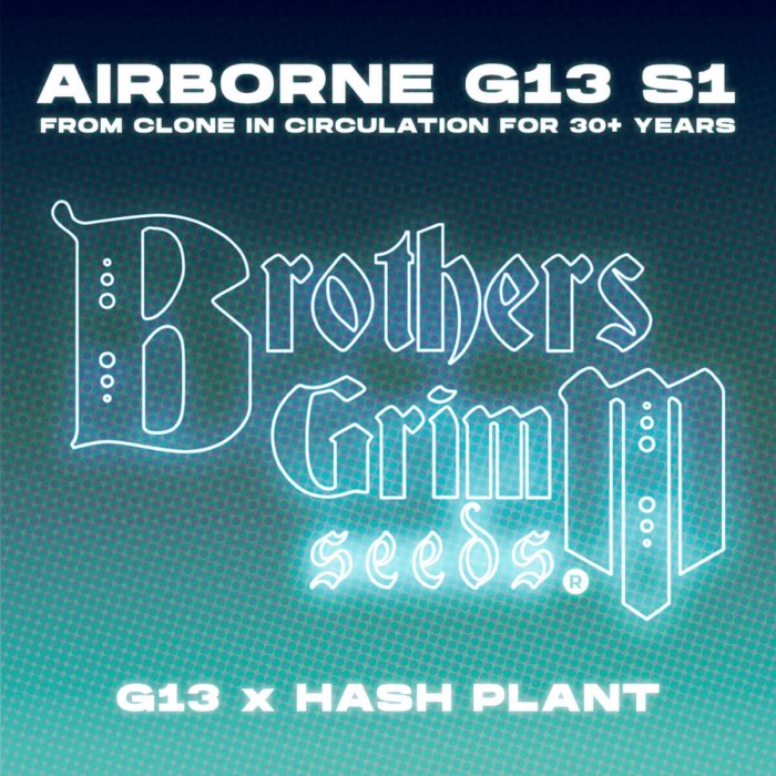 Semillas de marihuana feminizadas Airborne G13 S1 de Brothers Grimm Seeds cruce.