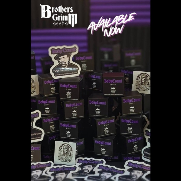 Semillas de marihuana feminizadas Ice T's Bodycount de Brothers Grimm Seeds, packs de semillas.