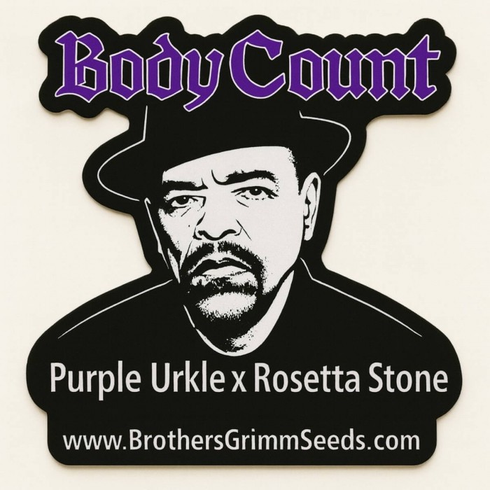 Semillas de marihuana feminizadas Ice T's Bodycount de Brothers Grimm Seeds pegatina.