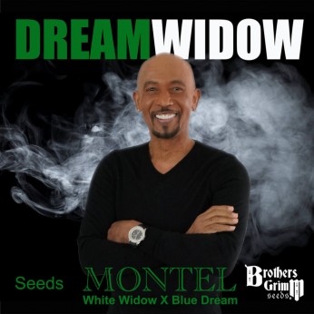 Semillas de marihuana feminizadas Montel’s Dream Widow de Brothers Grimm Seeds.