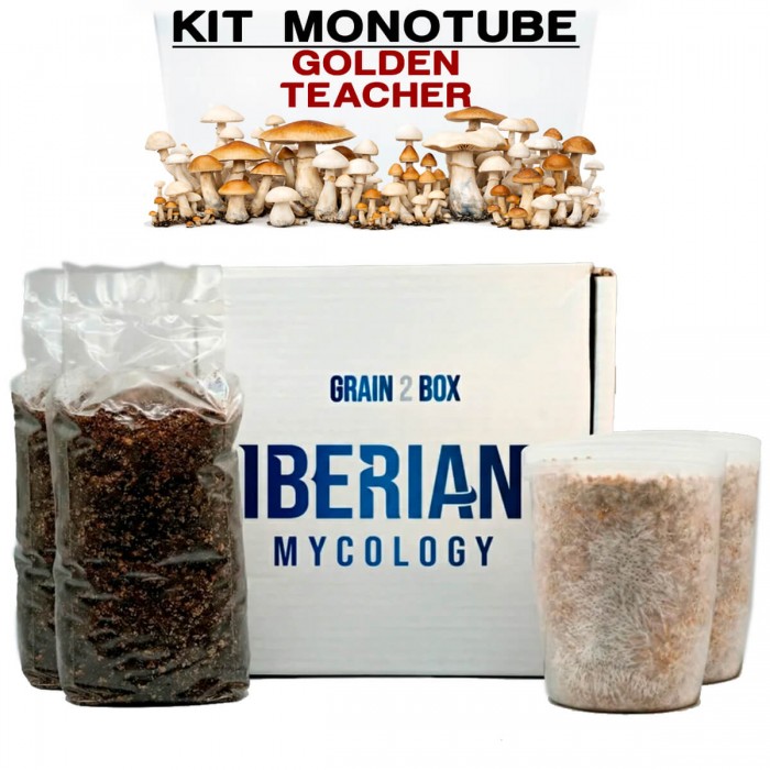 Kit monotube doble Golden Teacher Iberian Micoplogy