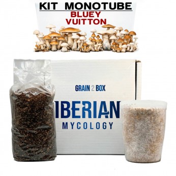 Kit monotube simple Bluey Vuitton Iberian Micoplogy