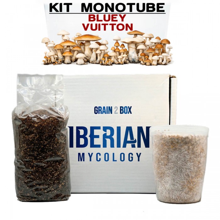 Kit monotube simple Bluey Vuitton Iberian Micoplogy