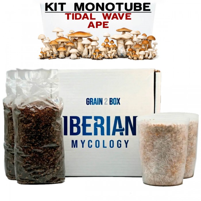 Kit monotube doble Tidal Wave Ape Iberian Micoplogy