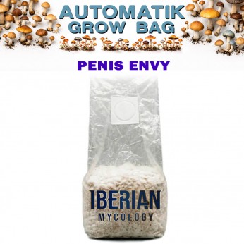 Pan de setas Automatic Grow Bag Penis Envy de Iberian Micology.