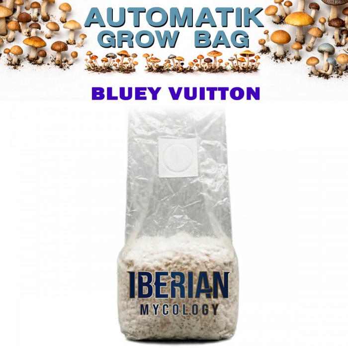 Pan de setas Automatic Grow Bag Bluey Vuitton de Iberian Micology.