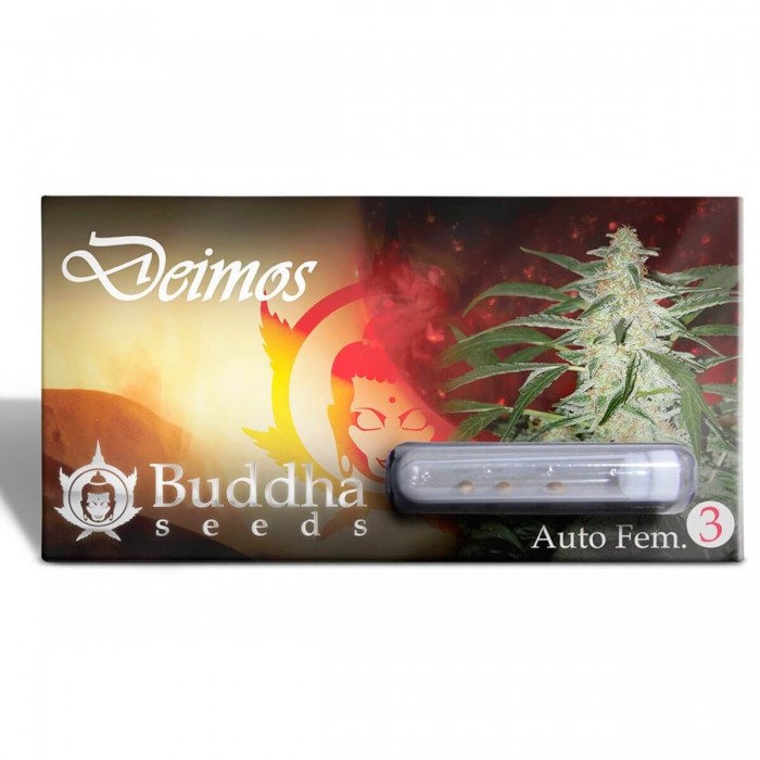 Semilla de marihuana feminizada Deimos de Buddha Seeds, blister.