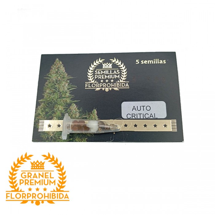 Auto Critical - Semillas de marihuana Granel Premium, blister.