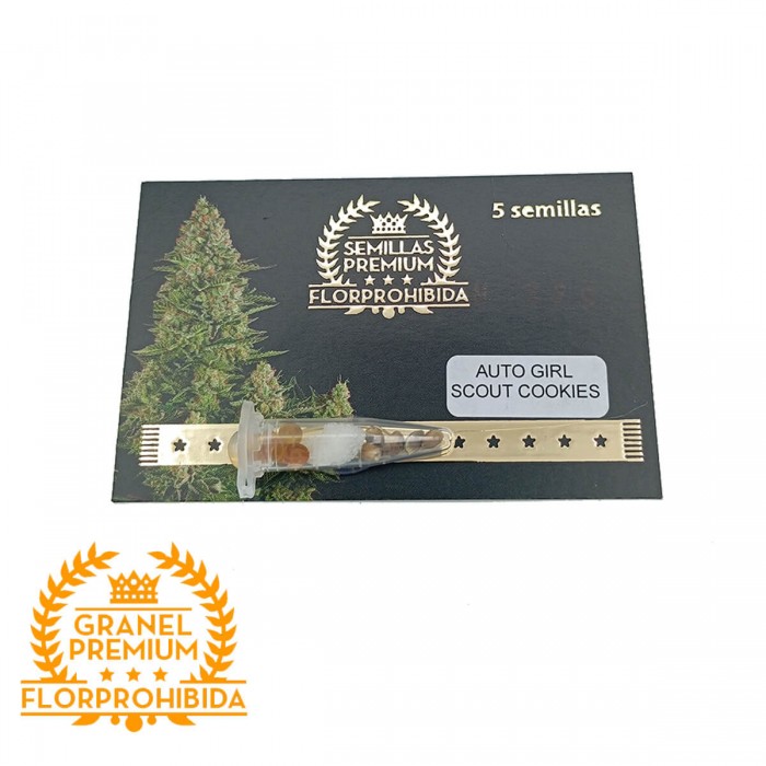 Auto Girl Scout Cookies a Granel, Semillas de marihuana feminizadas, blister.
