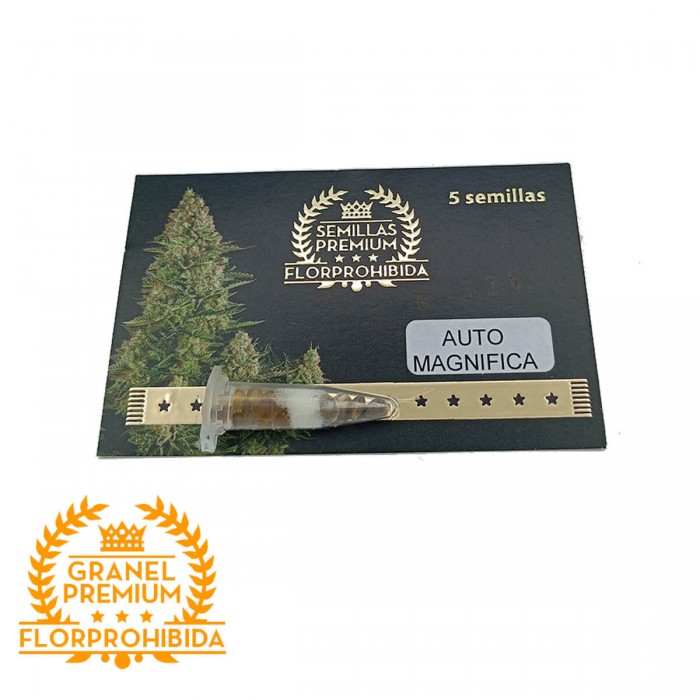 Auto Magnífica - Semillas de marihuana autofloreciente a granel Premium Florprohibida, blister.