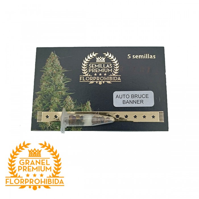 Semillas Auto Bruce Banner de marihuana feminizadas a Granel Premium FP, blister.