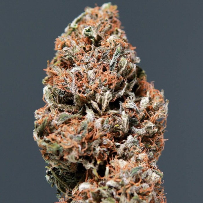 Auto Medikit CBD de Buddha Seeds - Semillas feminizadas de marihuana medicinal, cogollo seco.