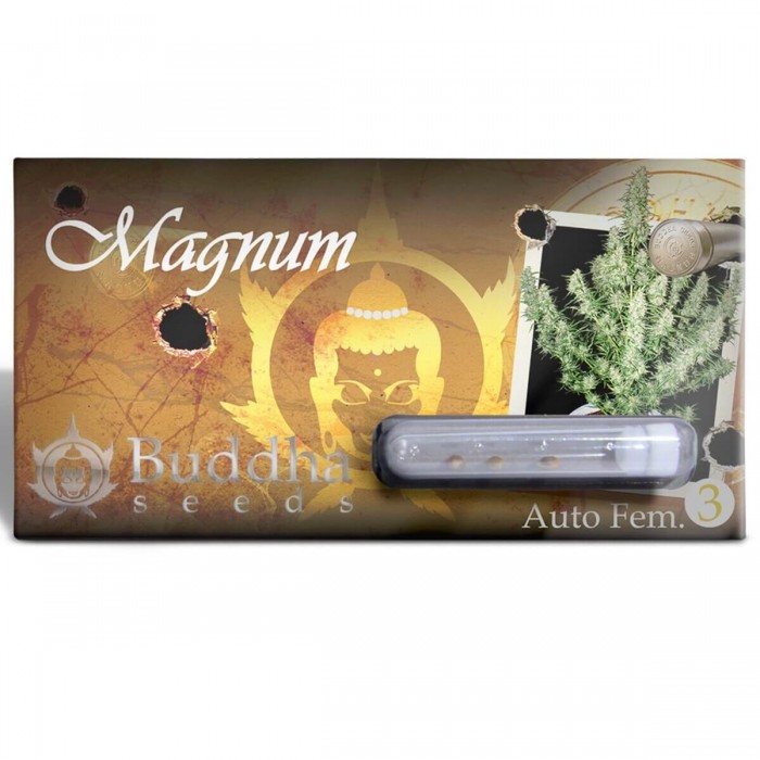 Oferta paquete de 50 semillas Magnum de Buddha Seeds, blister.
