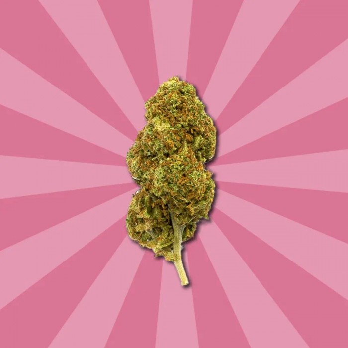 Flores CBD Strawberry de Gorilla Grillz, cogollo.