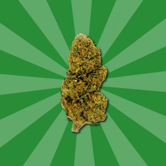 Flores CBD Lemon Haze de Gorilla Grillz 5 gramos, cogollo.