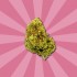 Flores CBD Cherry Kush de Gorilla Frillz envase de 5 gramos, cogollo.
