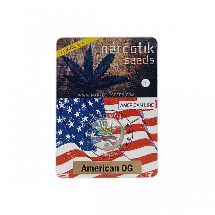 Semillas de marihuana feminizadas American OG de Narcotik Seeds, planta  de interior, blister.