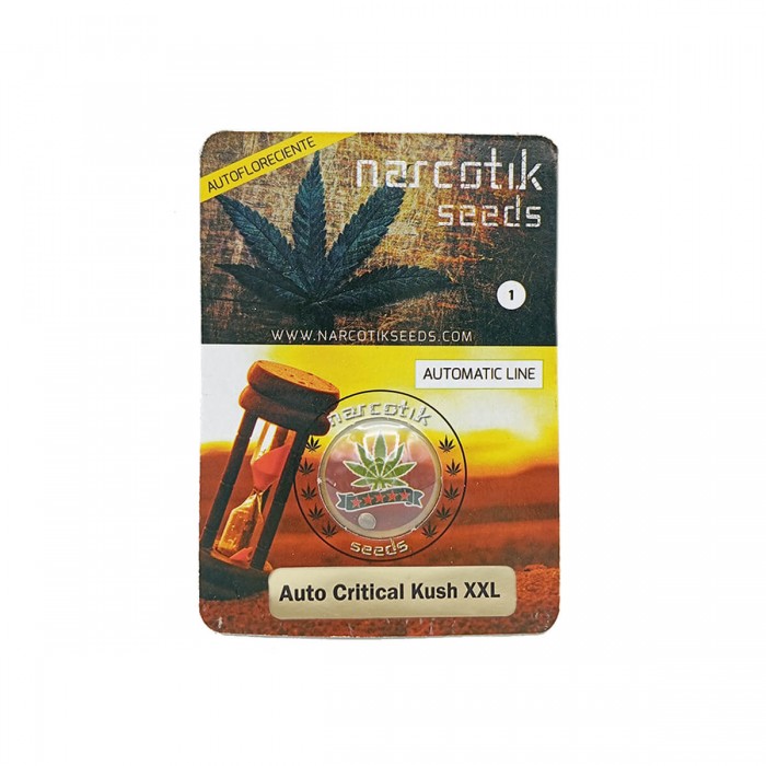 Auto Critical Kush XXL (Narcotik Seeds) Semillas autoflorecientes de marihuana, blister.
