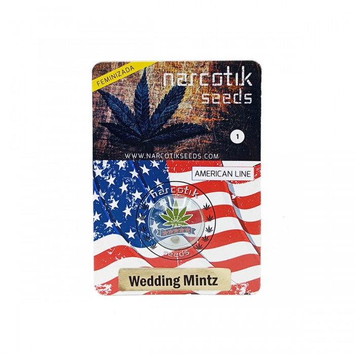 Semillas de marihuana feminizadas Wedding Mintz de Narcotik Seeds, blister.
