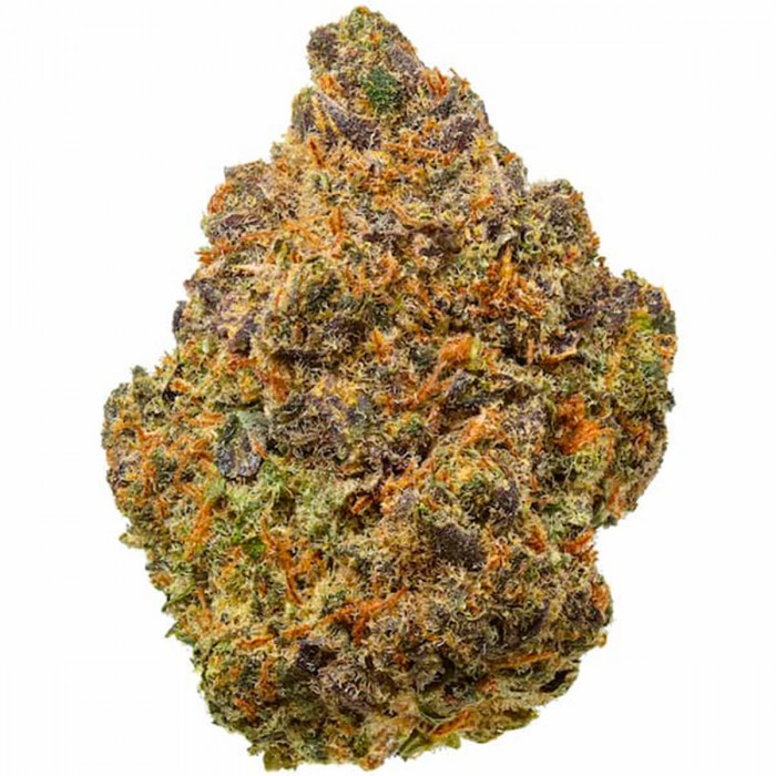 Semillas de marihuana regulares Mazzeta de Bask Triangle Farms, flor seca.
