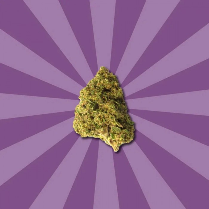 Flores CBD Zkittlez de Gorilla Grillz, cogollo.