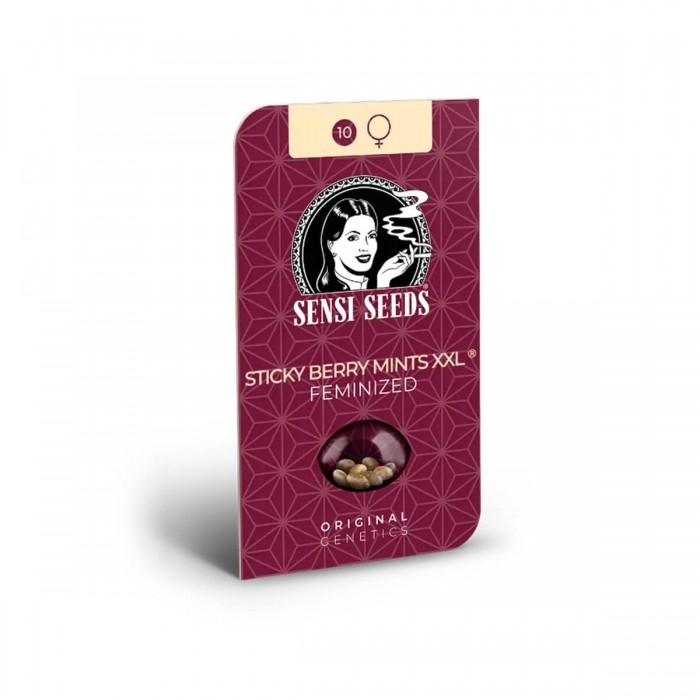 Semillas de marihuana feminizadas Sticky Berry Mints XXL de Sensi Seeds, blister.