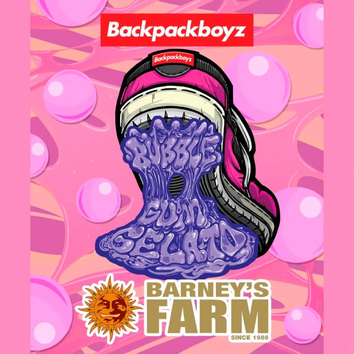 Semillas de marihuana feminizadas Bubblegum Gelato de Barney's Farm x Backpack Boyz, logo.