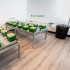 Kits de riego Netadrip Hydra de 25 a 250 plantas, mesas de cultivo con depósito.