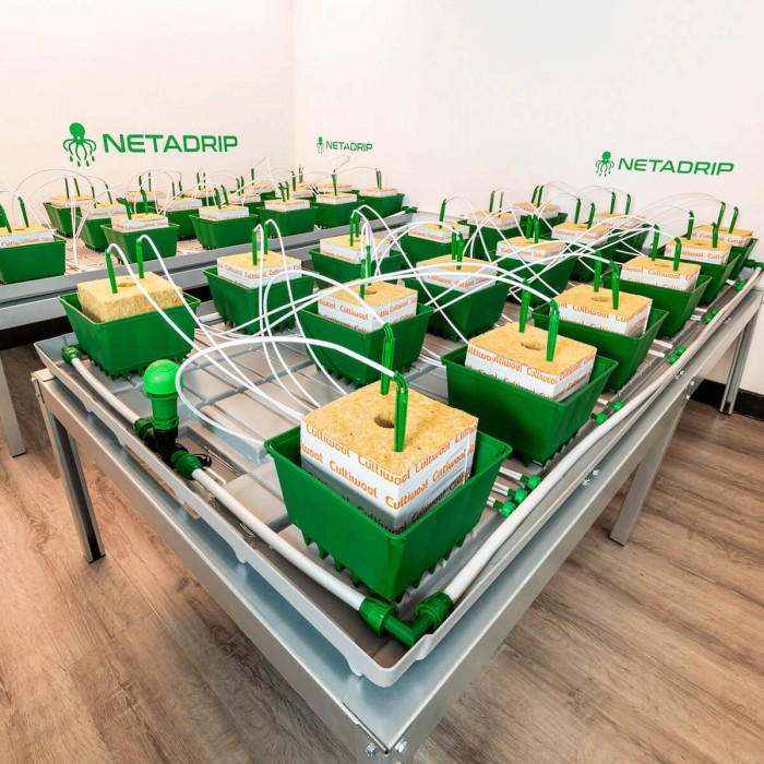 Kits de riego Netadrip Hydra de 25 a 250 plantas, bandeja de cultivo.