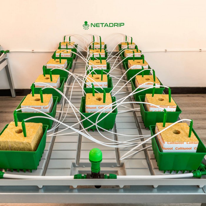 Kits de riego Netadrip Hydra de 25 a 250 plantas, mesa de drenaje.