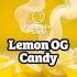 Semillas feminizadas Lemon OG Candy de Philosopher Seeds, logo.