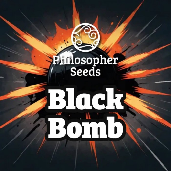 Semillas feminizadas Black Bomb de Philosopher Seeds.