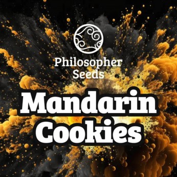 Semillas feminizadas Mandarine Cookies de Philosopher Seeds, logo.