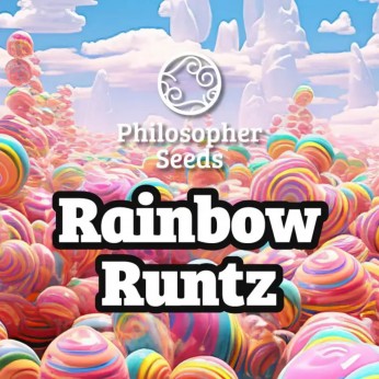 Semillas feminizadas Rainbow Runtz de Philosopher Seeds, logo.