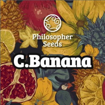 Semillas feminizadas C. Banana de Philosopher Seeds, logo.