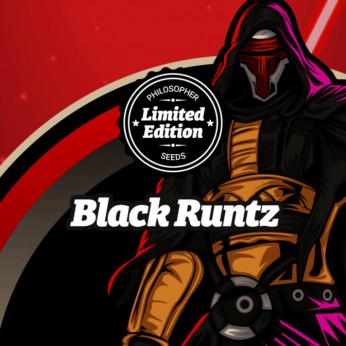 Semillas feminizadas Black Runtz de Philosopher Seeds.
