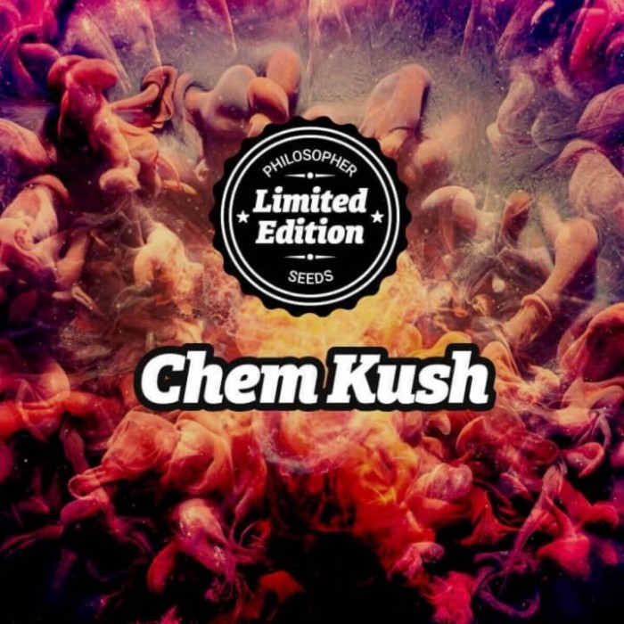 Semillas feminizadas Chem Kush de Philosopher Seeds.
