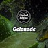 Semillas feminizadas Gelonade de Philosopher Seeds, logo.