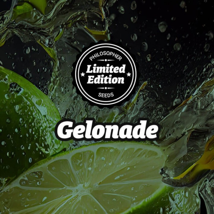 Semillas feminizadas Gelonade de Philosopher Seeds, logo.