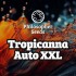 Semillas de autoflorecientes  Auto Tropicanna XXL de Philosopher Seeds.